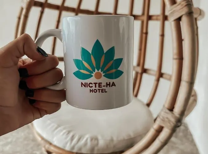 Hotel Nicte Ha